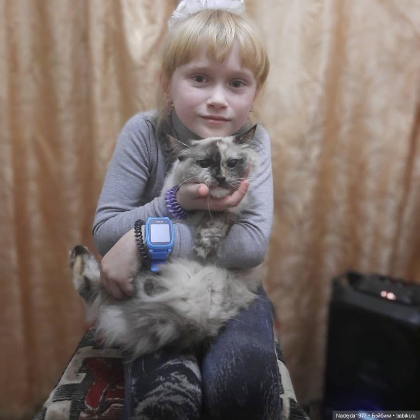 Связала символ уходящего года