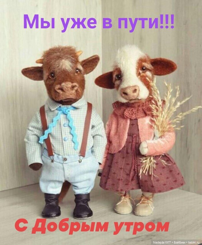 С наступающим Новым годом всех (фото 7)