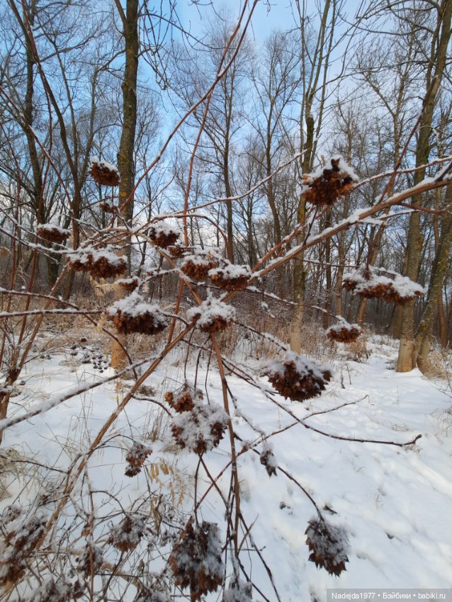 Связала ещё такого котика