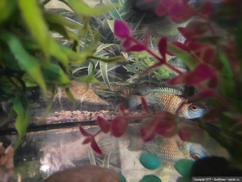 Связала ещё такого котика