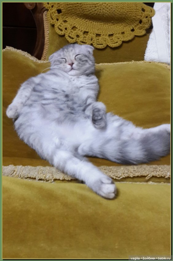 Как Тоська Новый год справляла