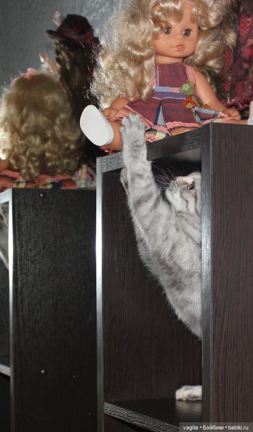 Как Тоська Новый год справляла (фото 7)