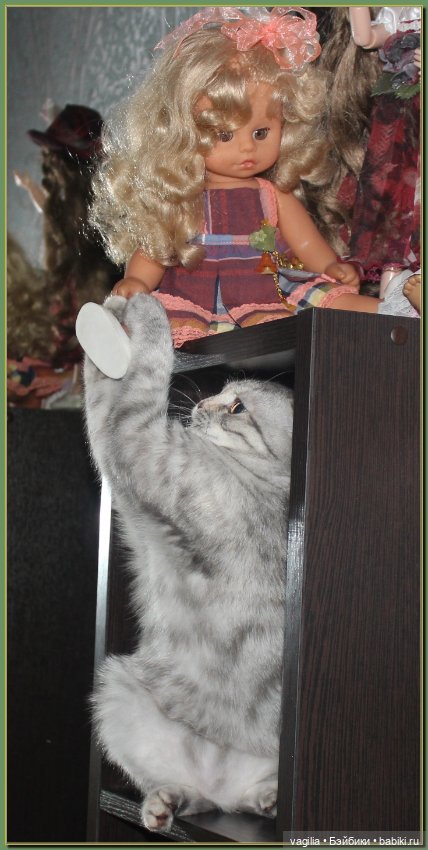 Как Тоська Новый год справляла (фото 8)