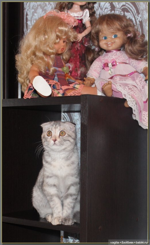 Как Тоська Новый год справляла (фото 7)