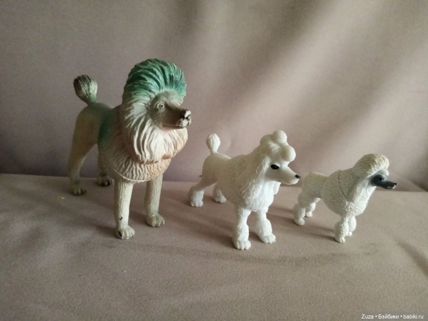 Любите ли вы пуделей — Болталка и разговоры обо всем: жизнь (фото 5)