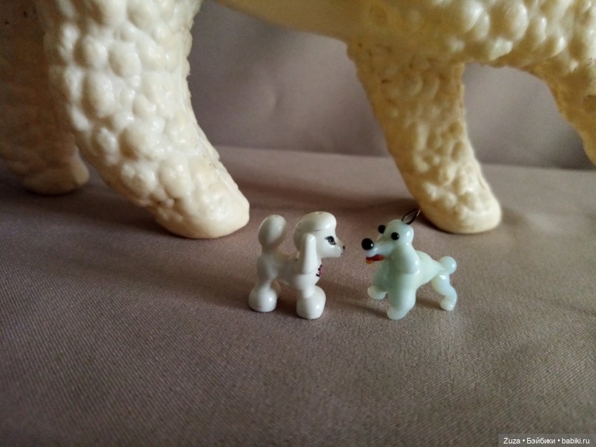 Любите ли вы пуделей — Болталка и разговоры обо всем: жизнь (фото 3)