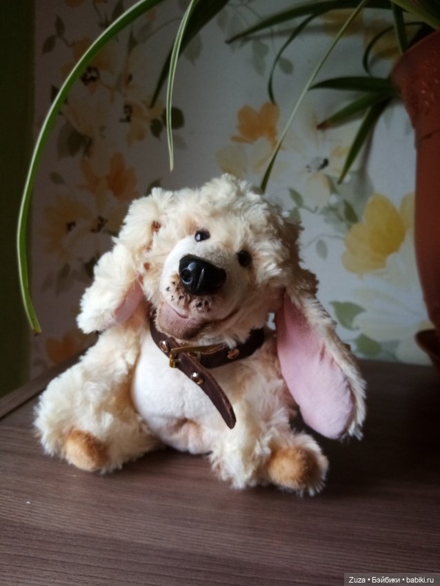 Любите ли вы пуделей — Болталка и разговоры обо всем: жизнь (фото 7)