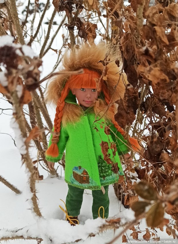 Зимняя Лиэнн — Куклы LeeAnn (Denis Bastien) и Marianna Oldenburg: винил (фото 6)