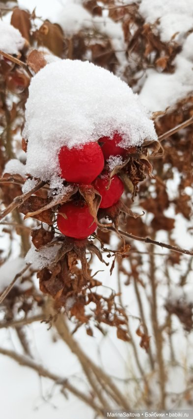 Зимняя Лиэнн — Куклы LeeAnn (Denis Bastien) и Marianna Oldenburg: винил (фото 5)
