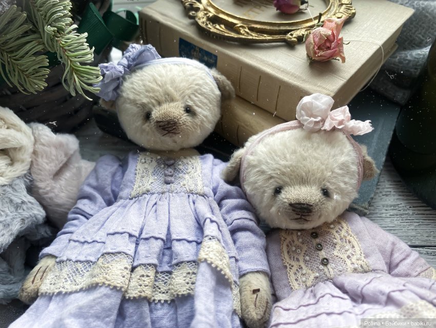 Мои новенькие две сестрички teddy (фото 5)