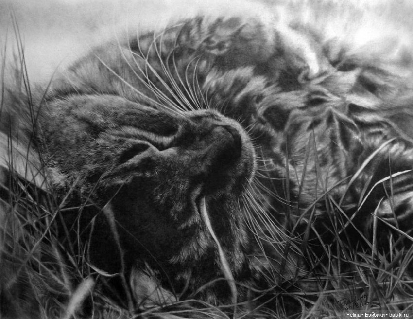 Милые мордахи в карандаше