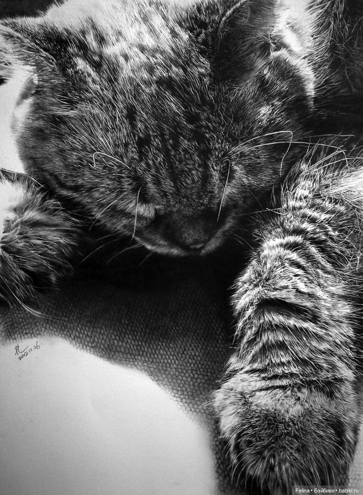 Милые мордахи в карандаше (фото 3)