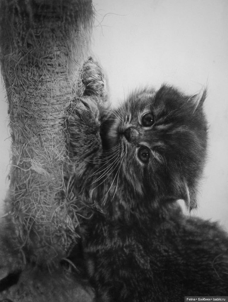 Милые мордахи в карандаше (фото 8)