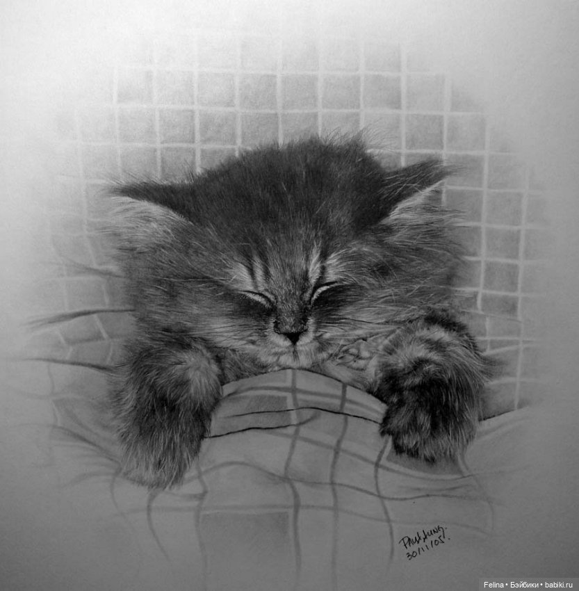 Милые мордахи в карандаше