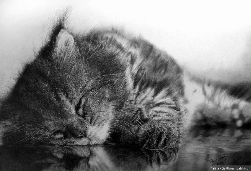 Милые мордахи в карандаше