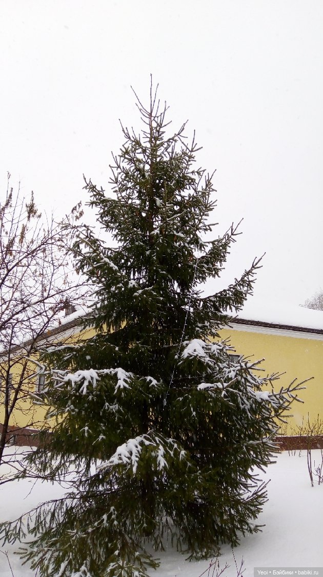 Зима и фигурки зельфов — Интересные игрушки и фигурки (разное): редкие