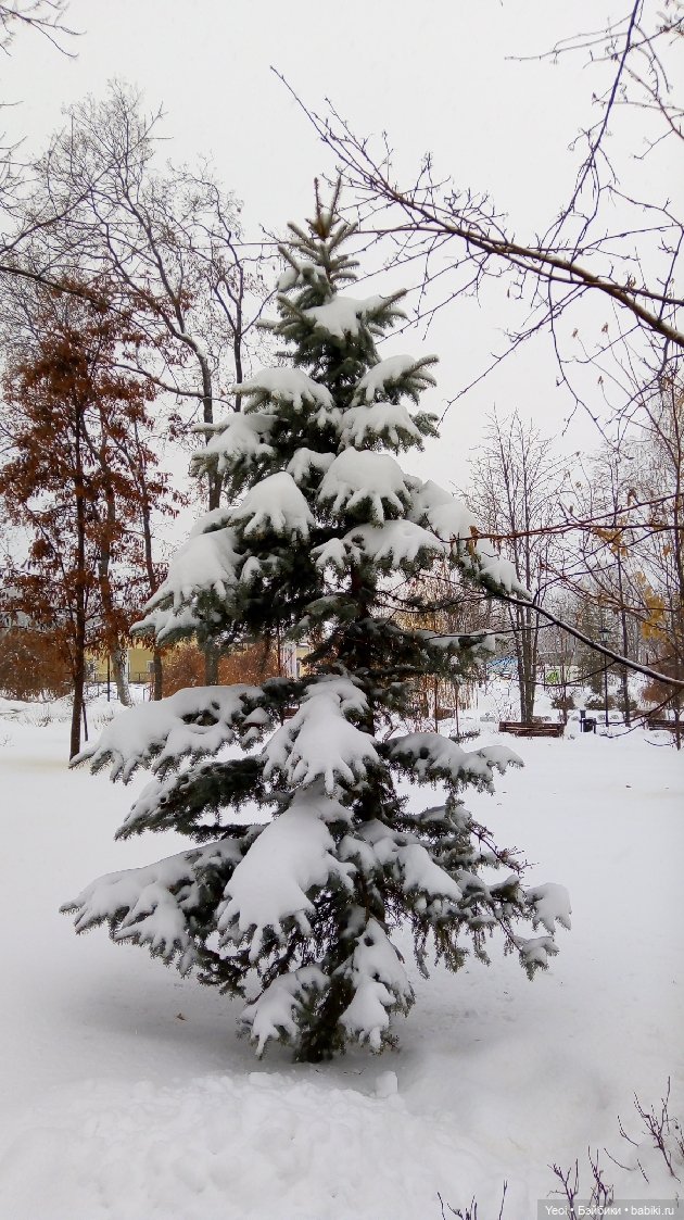 Зима и фигурки зельфов — Интересные игрушки и фигурки (разное): редкие