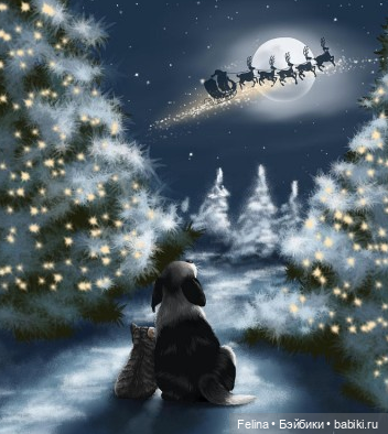 В дом приходит волшебство и мы верим в чудо