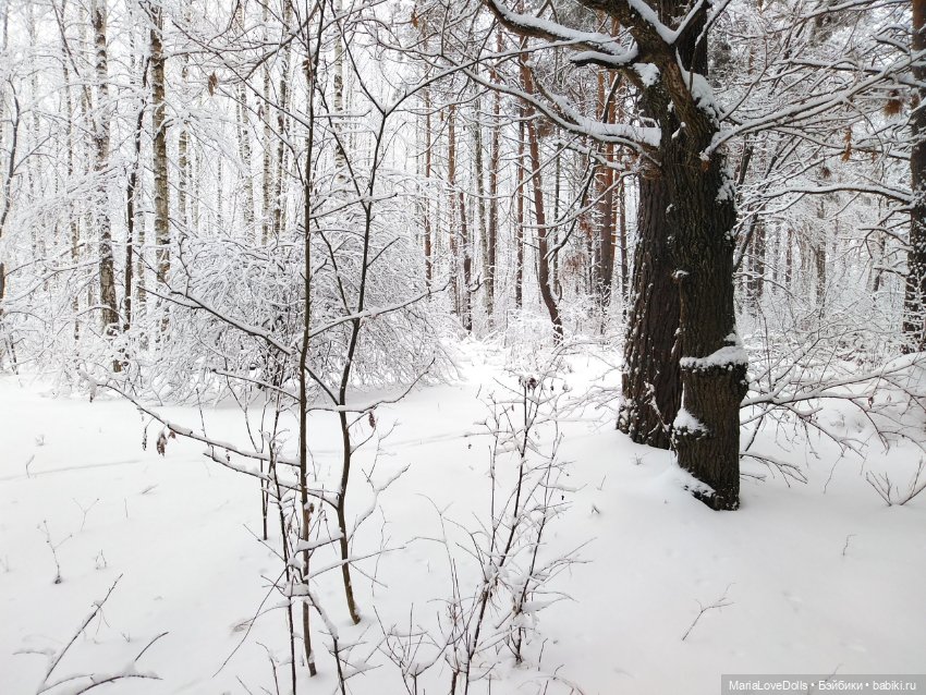 Приглашаем в зимнюю сказку