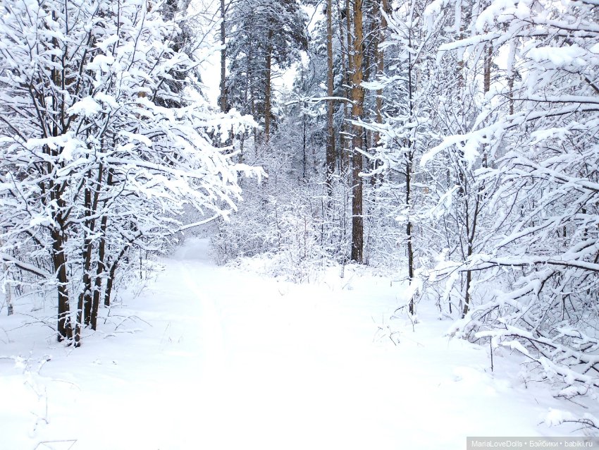 Приглашаем в зимнюю сказку