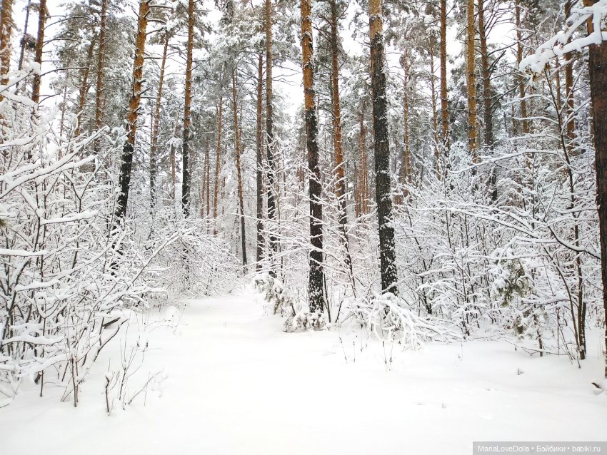Приглашаем в зимнюю сказку