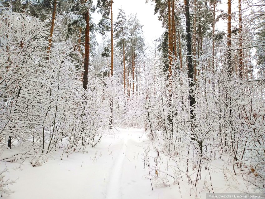 Приглашаем в зимнюю сказку