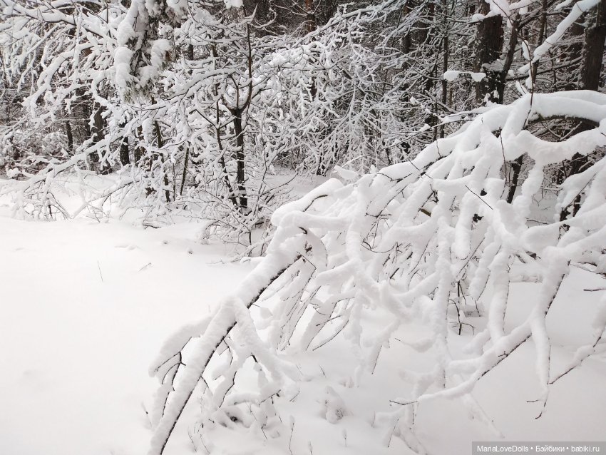 Приглашаем в зимнюю сказку