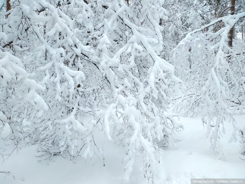 Приглашаем в зимнюю сказку