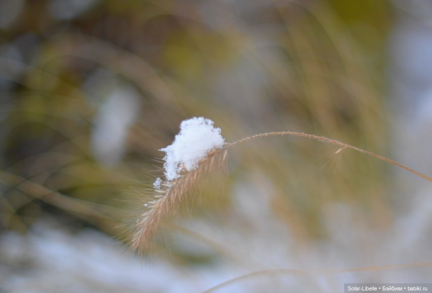 Зимняя прогулка с мини Готц ООАК