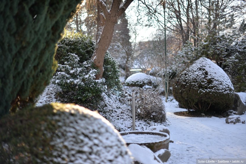 Зимняя прогулка с мини Готц ООАК