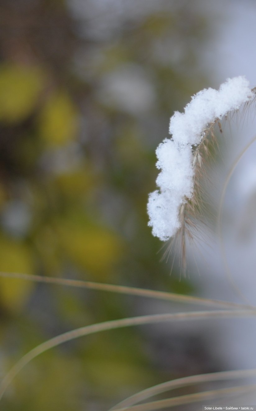 Зимняя прогулка с мини Готц ООАК