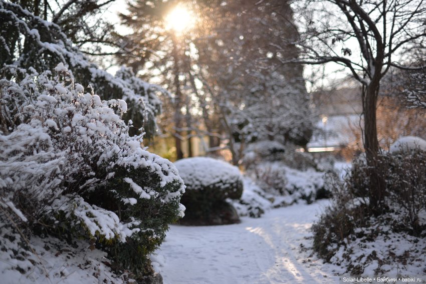 Зимняя прогулка с мини Готц ООАК