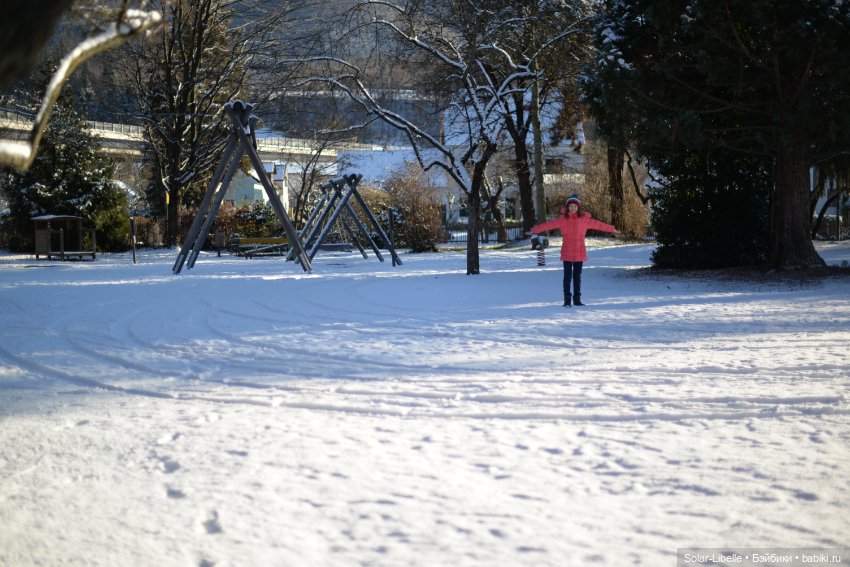 Зимняя прогулка с мини Готц ООАК