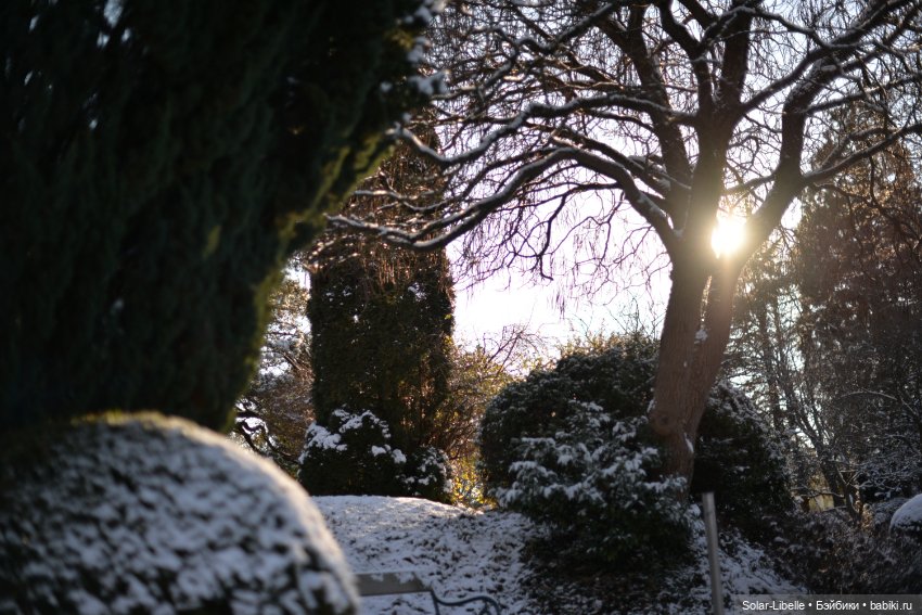 Зимняя прогулка с мини Готц ООАК