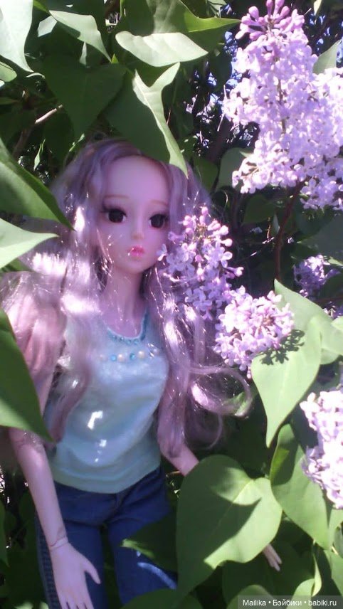 Уже прошел год — Болталка и разговоры обо всем: жизнь (фото 3)