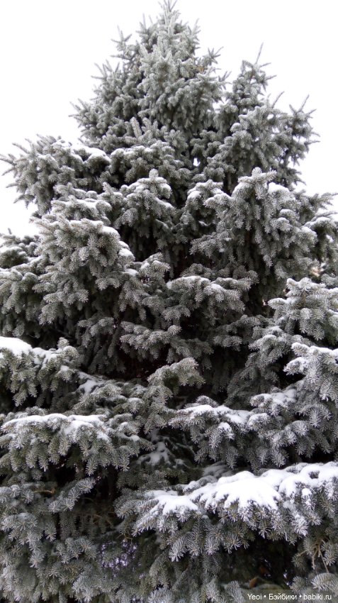 Зима и фигурки зельфов — Интересные игрушки и фигурки (разное): редкие