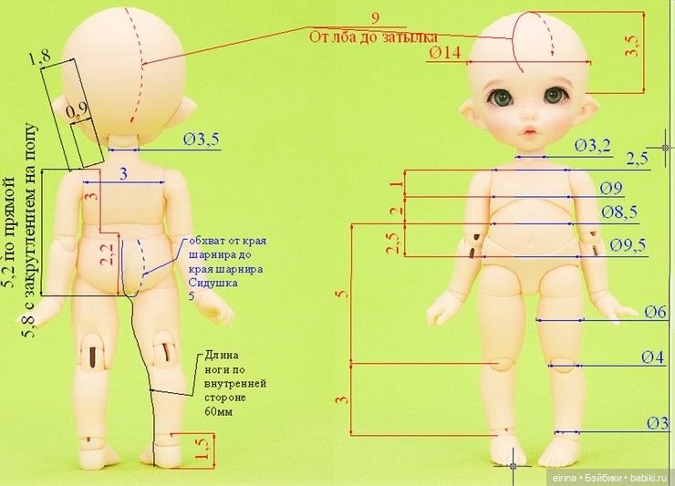 размер головы куклы. шарнирная кукла размеры. мерки бжд кукол. пропорции лица ребенка при рисовании портрета схема. выкройка шарнирной куклы.