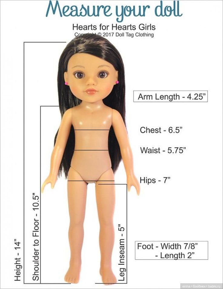 Мерки кукол 2 — Сравнение кукол разных брендов: фото рядом
