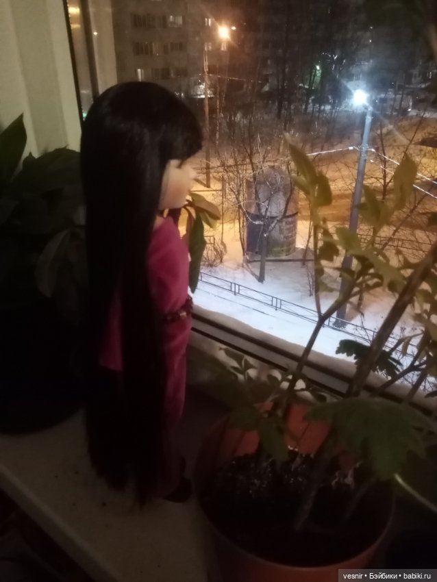 Сон в красном тереме — Болталка и разговоры обо всем: жизнь