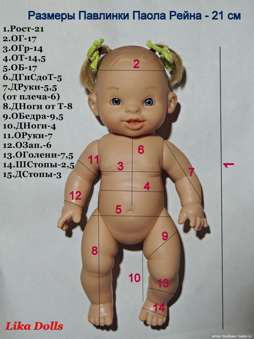 Мерки кукол 2 — Сравнение кукол разных брендов: фото рядом