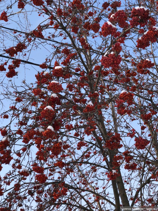 К нам Зима вернулась — Интересное и необычное: фотоподборки