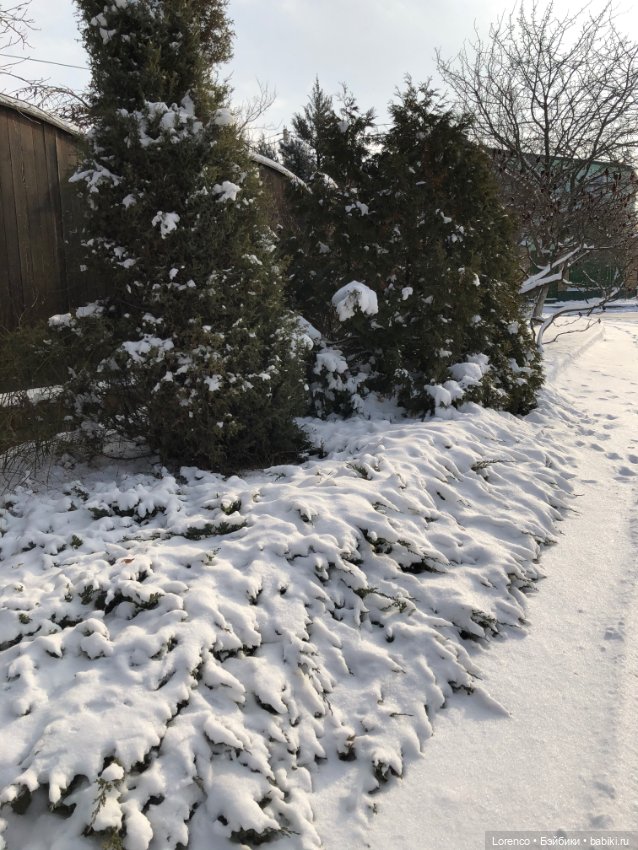 К нам Зима вернулась — Интересное и необычное: фотоподборки