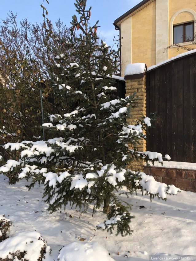 К нам Зима вернулась — Интересное и необычное: фотоподборки