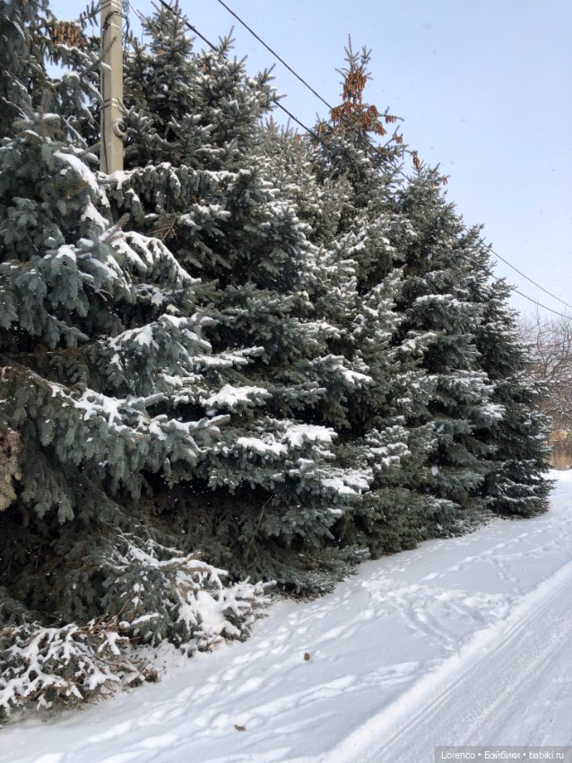 К нам Зима вернулась — Интересное и необычное: фотоподборки