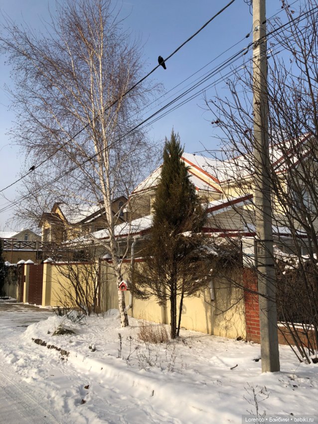 К нам Зима вернулась — Интересное и необычное: фотоподборки (фото 10)