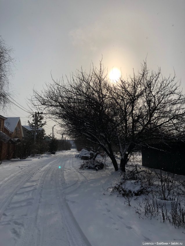 К нам Зима вернулась — Интересное и необычное: фотоподборки