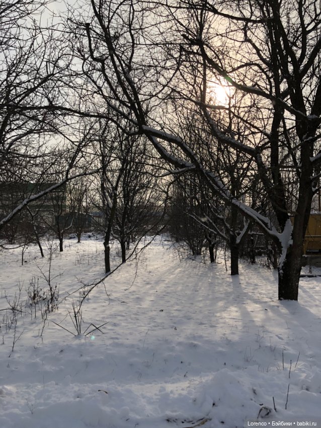 К нам Зима вернулась — Интересное и необычное: фотоподборки