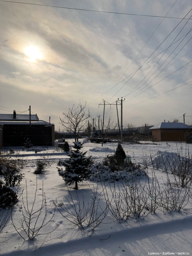 К нам Зима вернулась — Интересное и необычное: фотоподборки (фото 6)