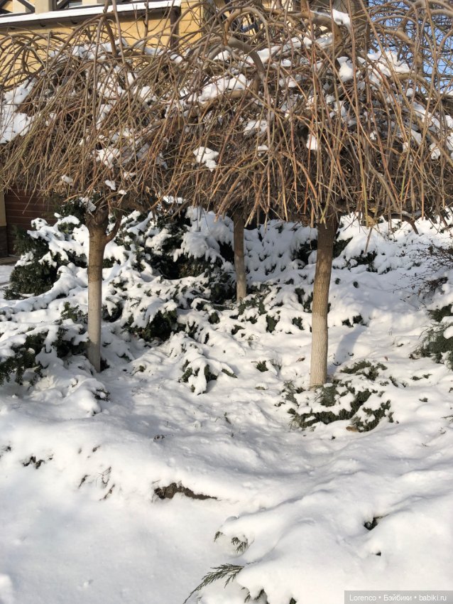 К нам Зима вернулась — Интересное и необычное: фотоподборки