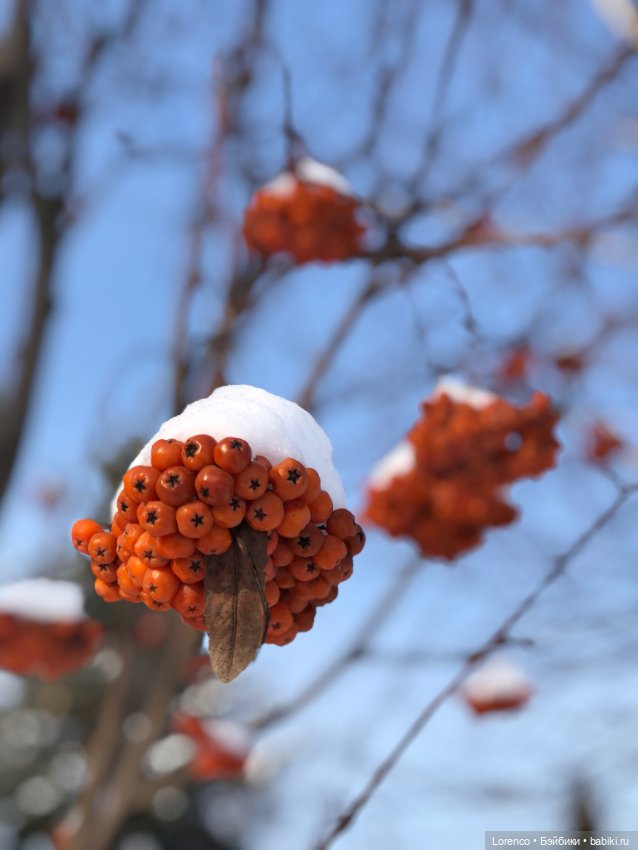 К нам Зима вернулась — Интересное и необычное: фотоподборки (фото 3)